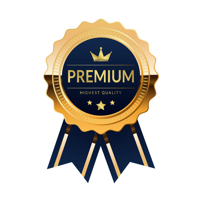 Premium Fitness Program Elevate Your Workout Experience